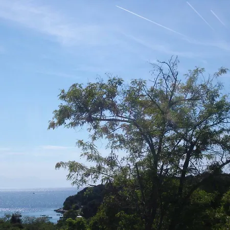 Suzy With Private Parking *