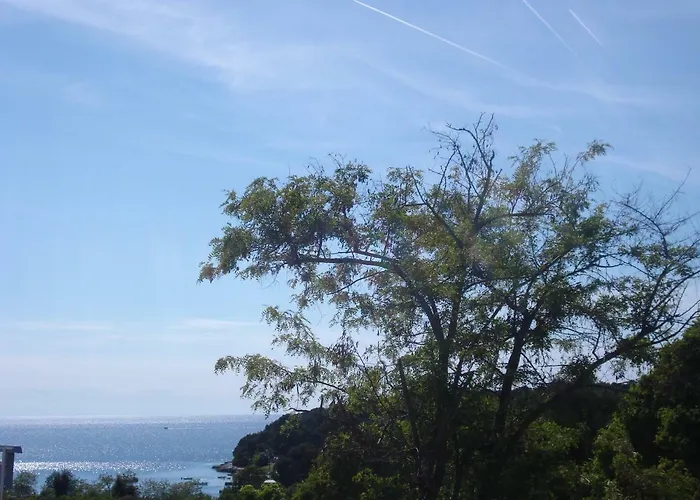 Suzy With Private Parking *